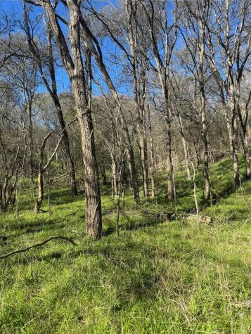 Lots 638. 639. 640 Kaukonahua Lane Bastrop TX 78602