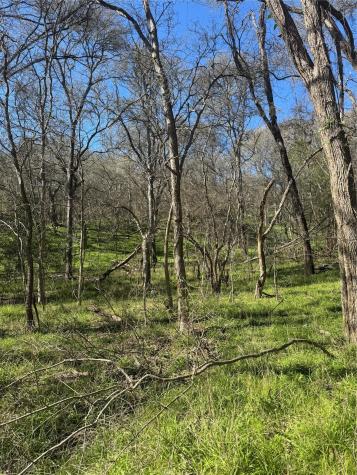 Lots 638. 639. 640 Kaukonahua Lane Bastrop TX 78602