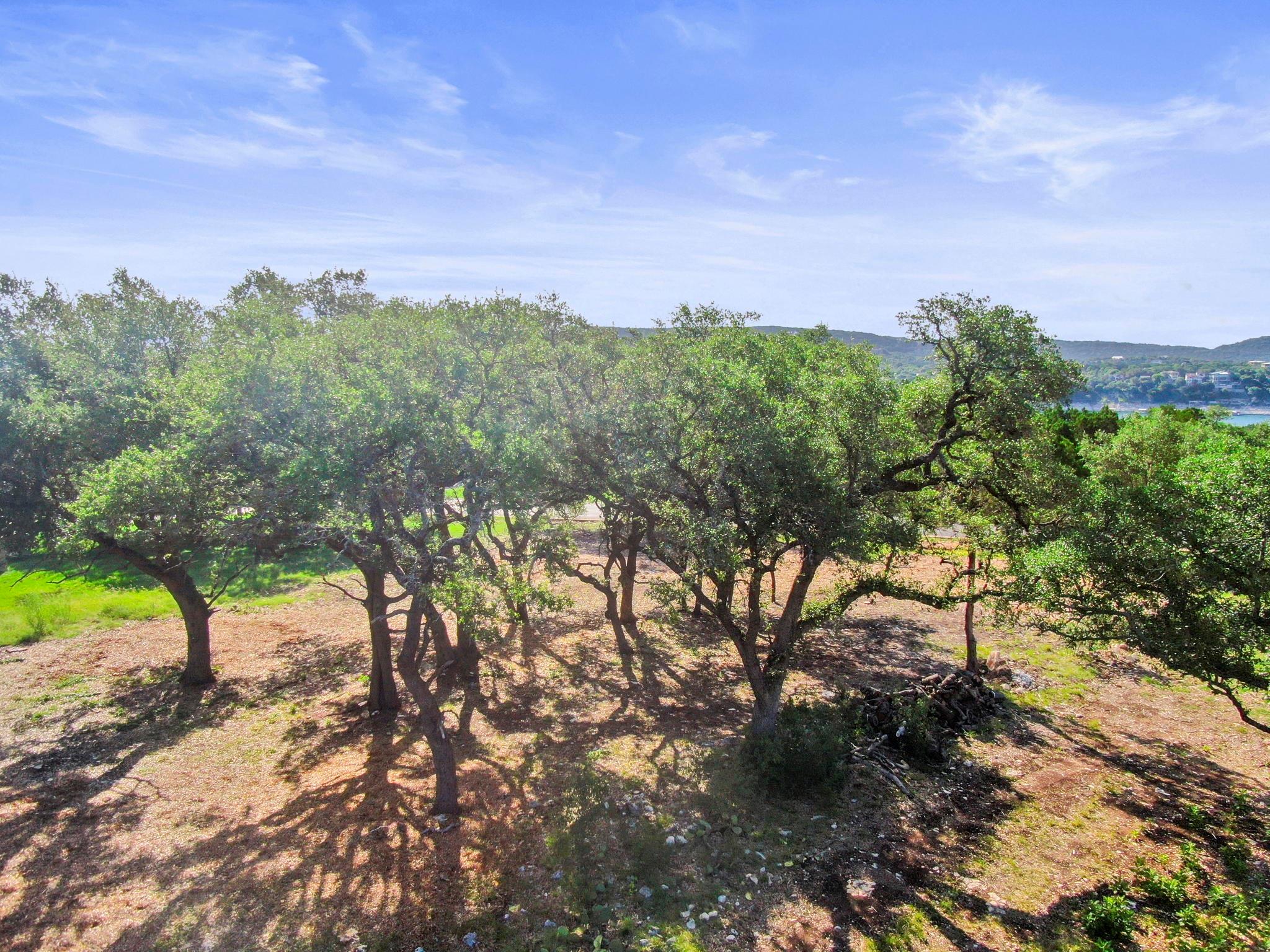 8200 Moon Rise Trail Jonestown TX 78645