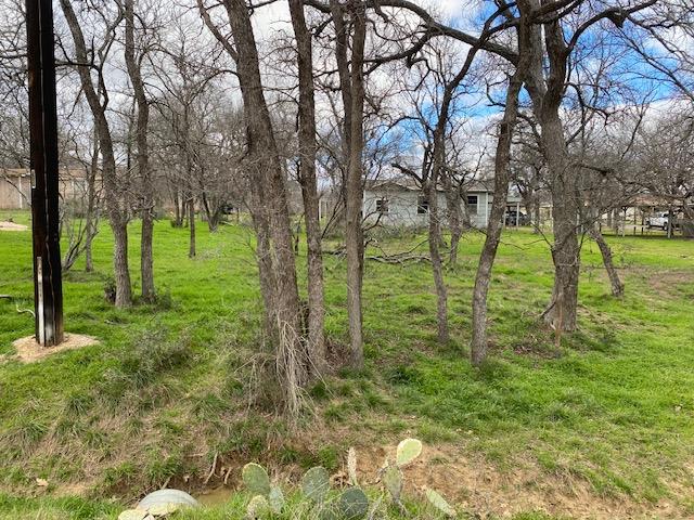 Tbd E Hickory Drive Granite Shoals TX 78654