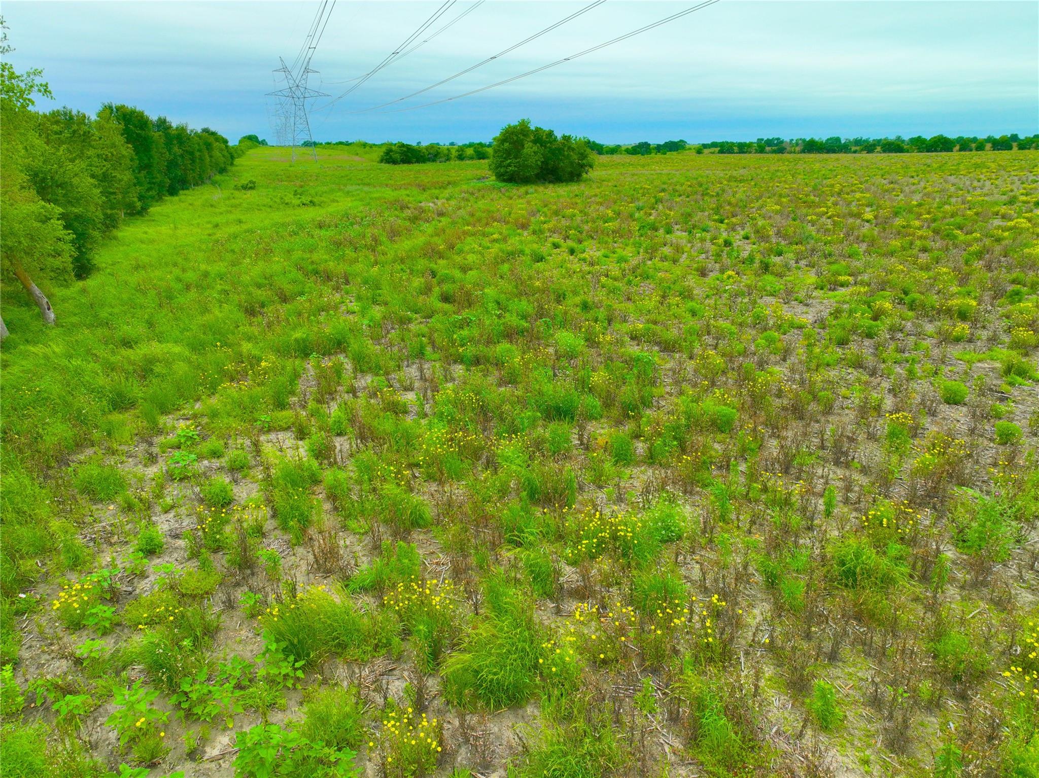 Tbd Lot 1, Blk 2 132 Road Burlington TX 76518