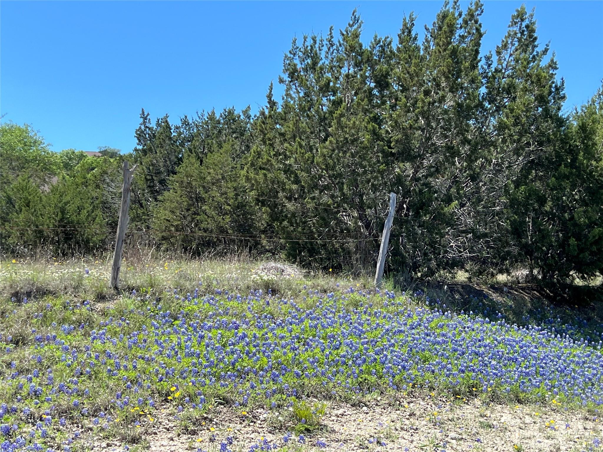 1214/1226 Windy Hill Salado TX 76571