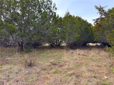 1645 Blueridge Drive Canyon Lake TX 78133