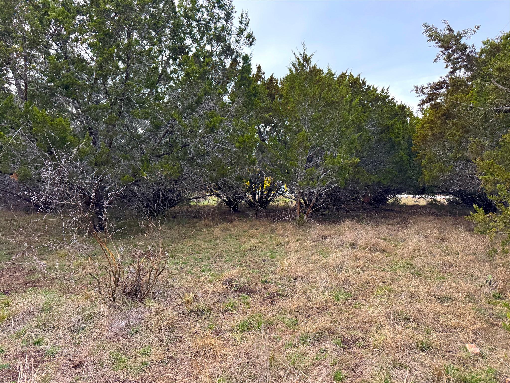 1645 Blueridge Drive Canyon Lake TX 78133