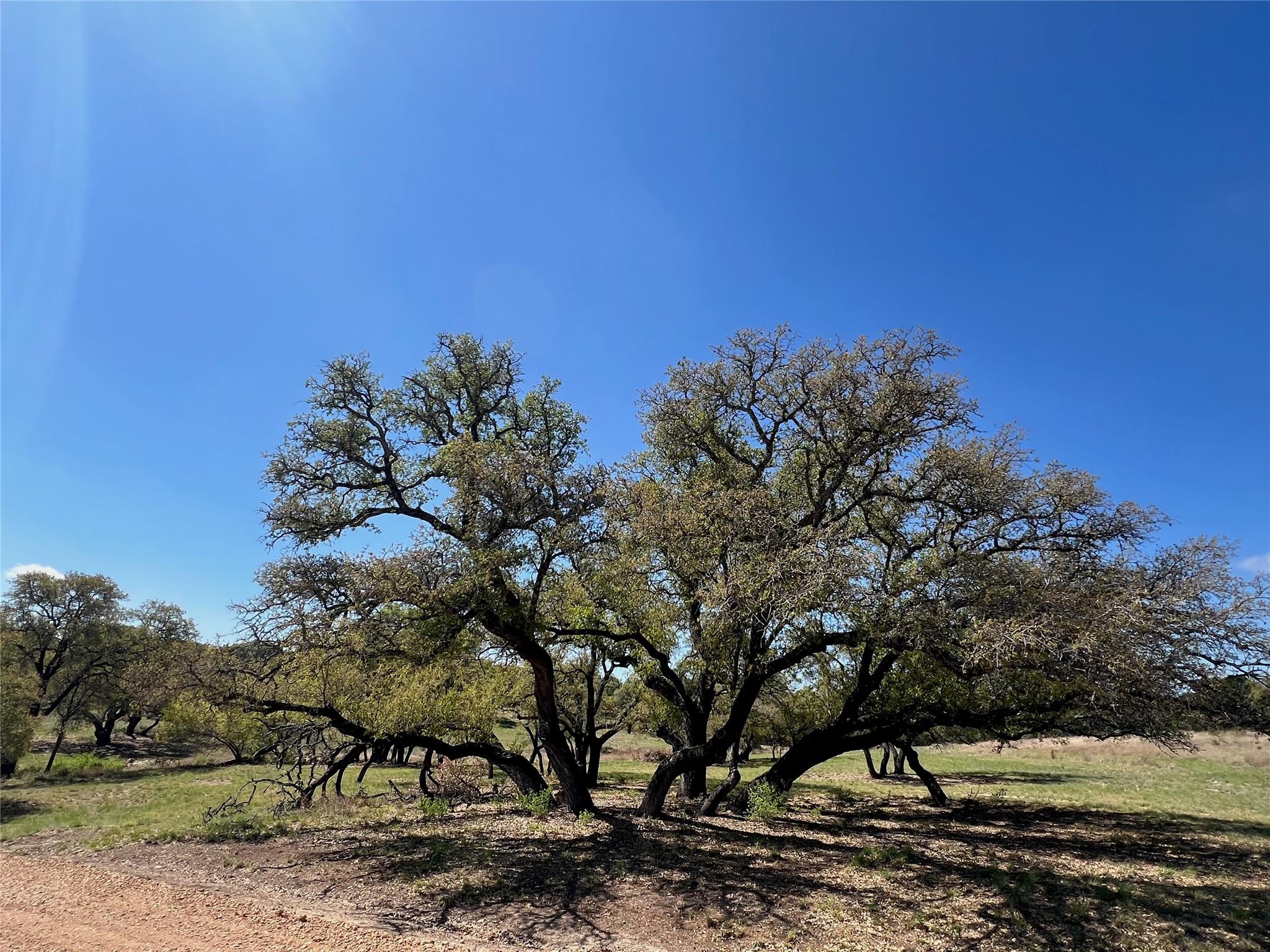 1 Barlow Drive Briggs TX 78608