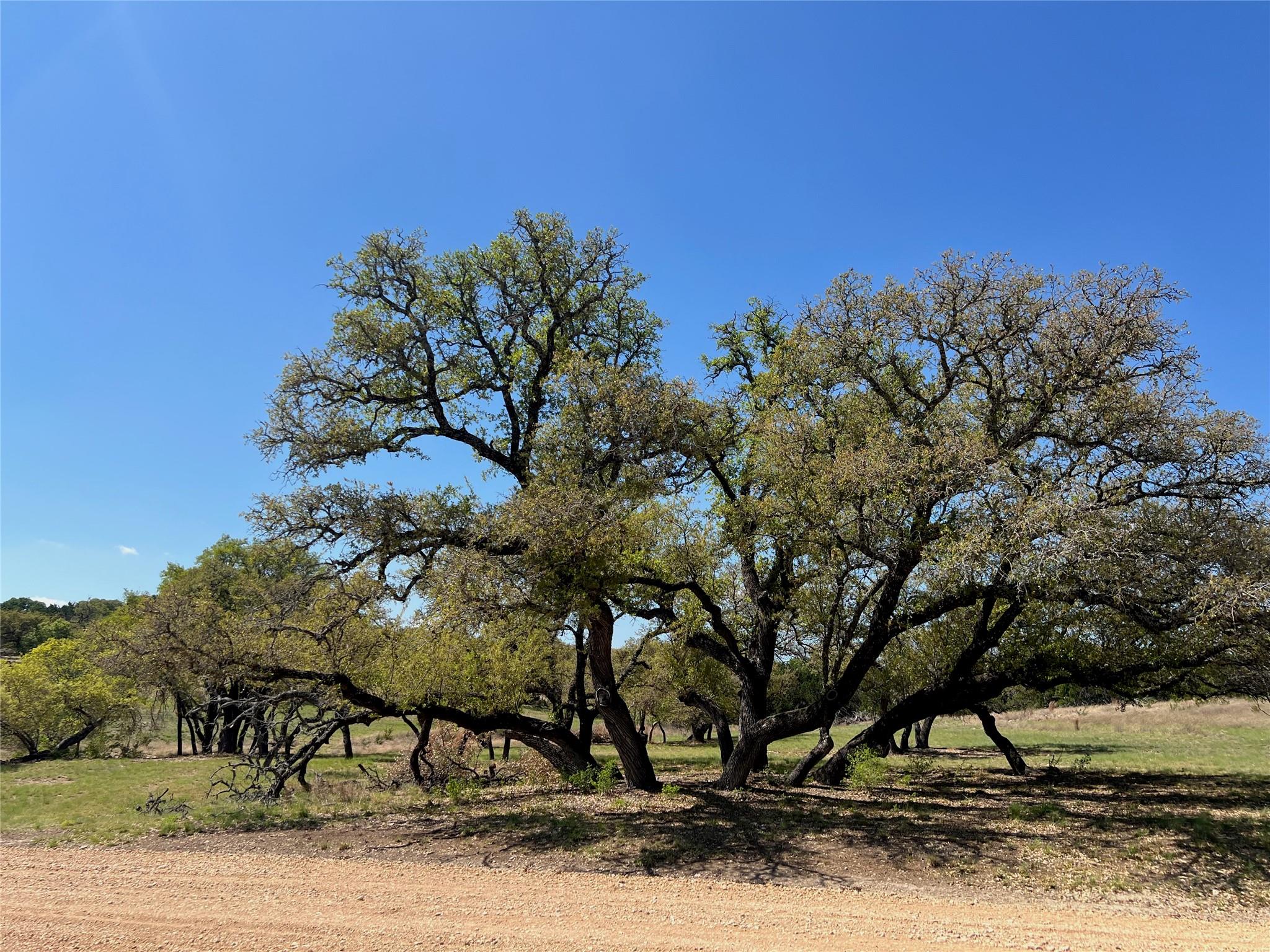 1 Barlow Drive Briggs TX 78608