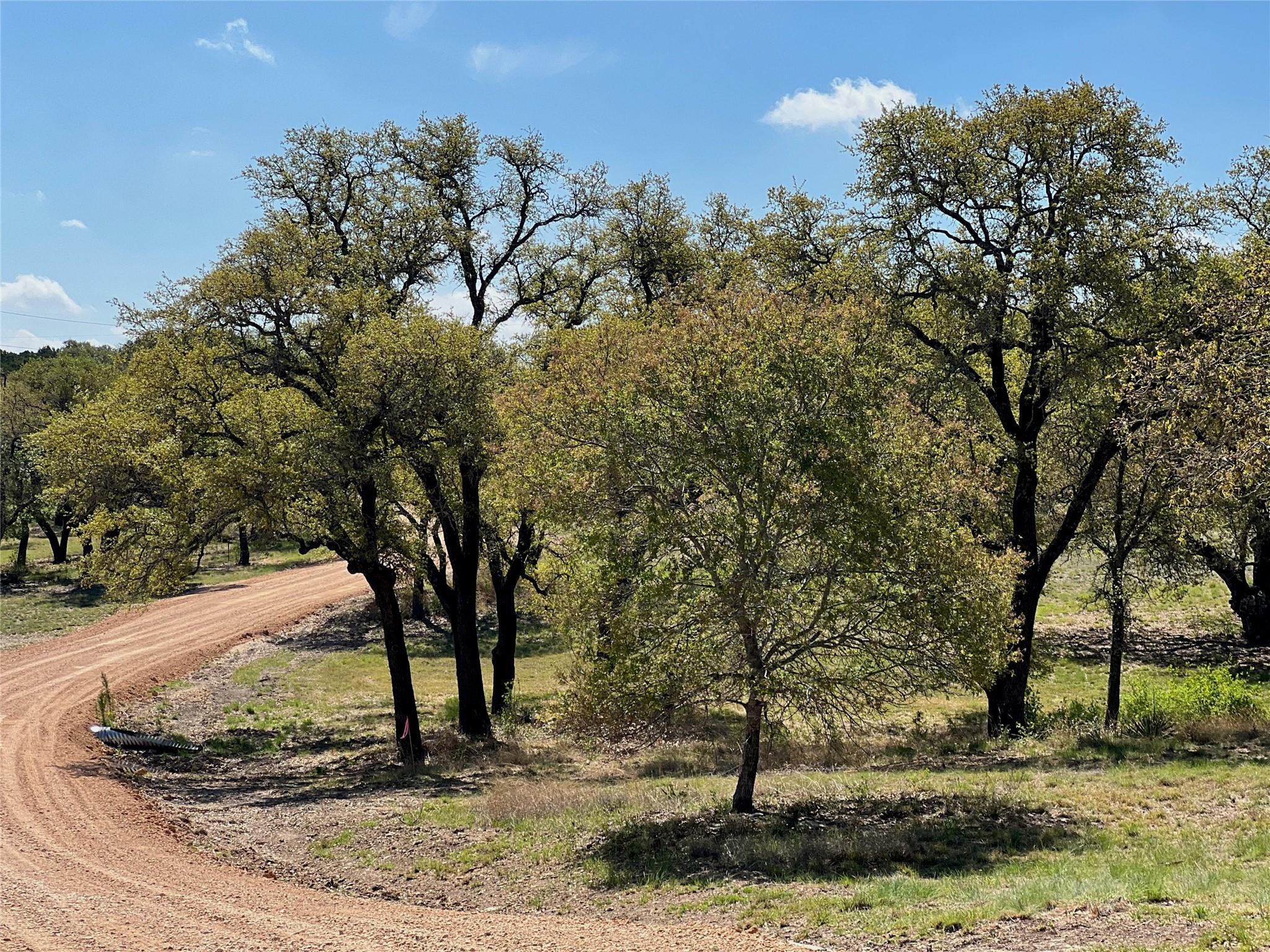 1 Barlow Drive Briggs TX 78608