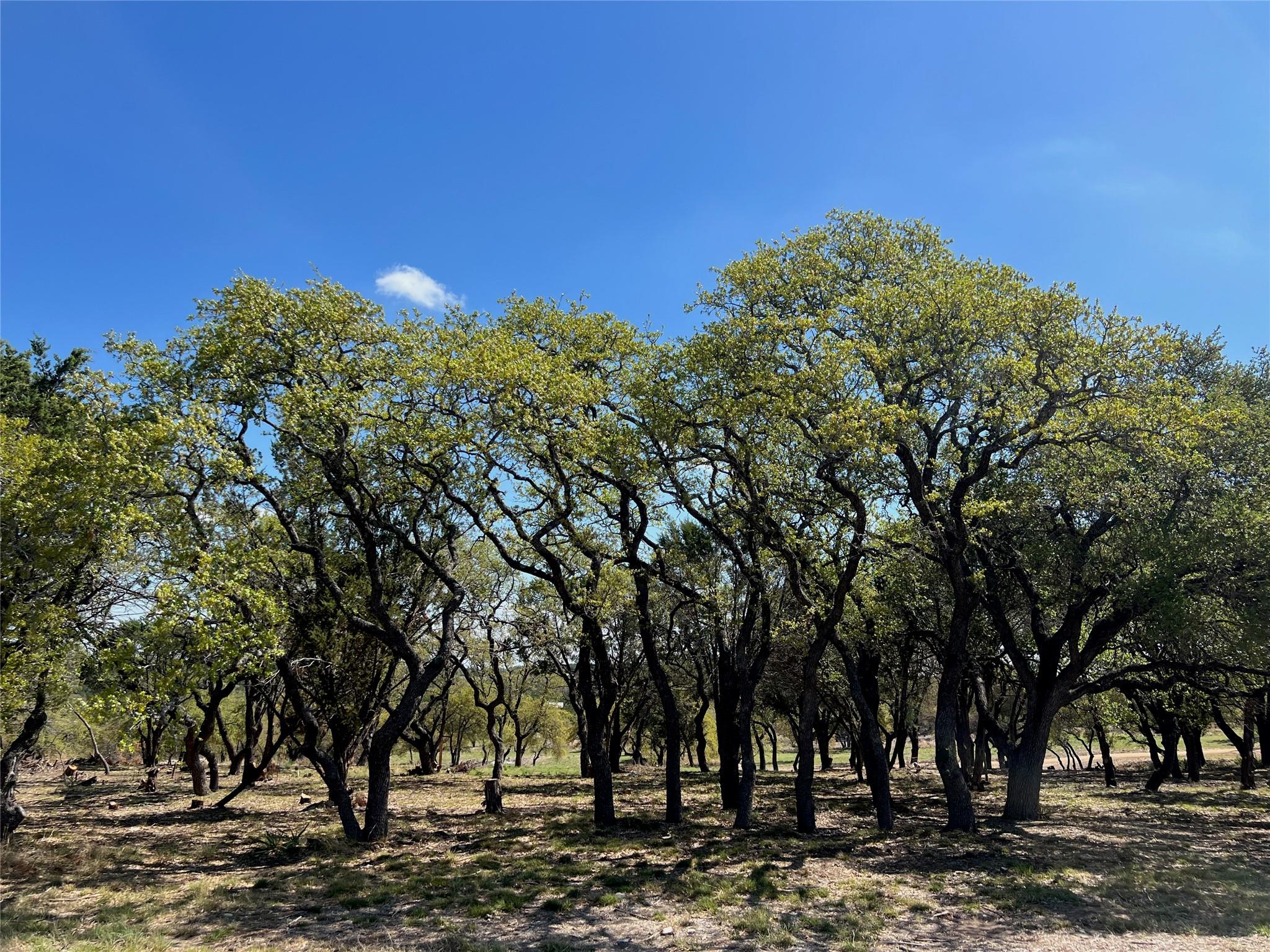 1 Barlow Drive Briggs TX 78608