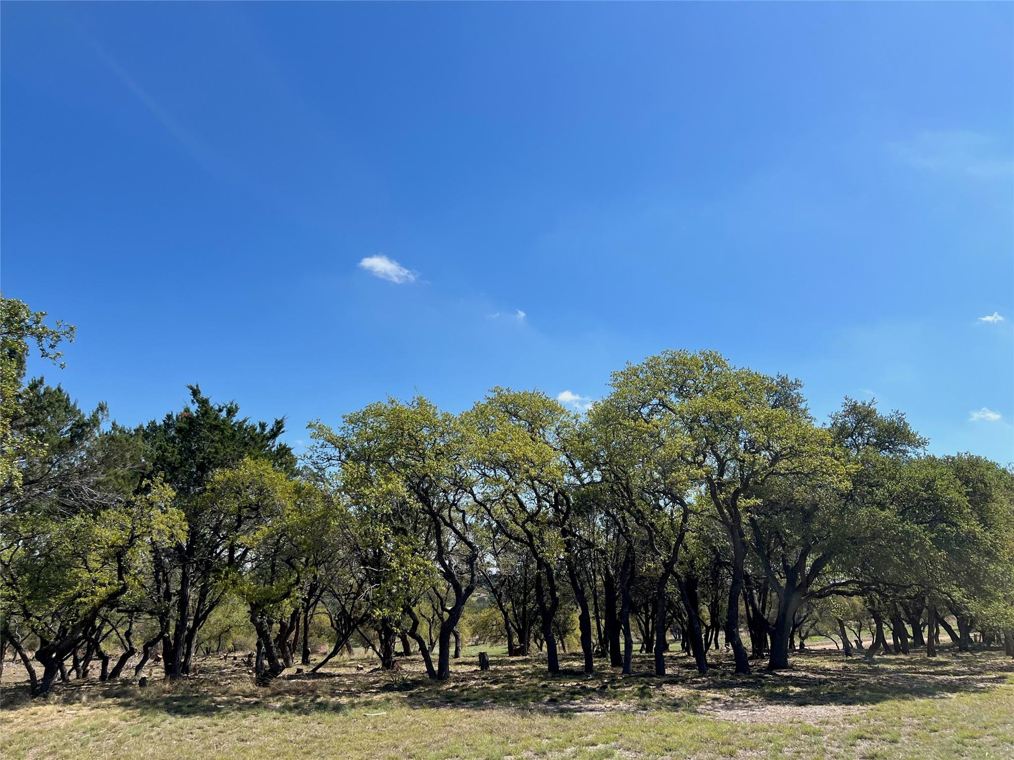 1 Barlow Drive Briggs TX 78608