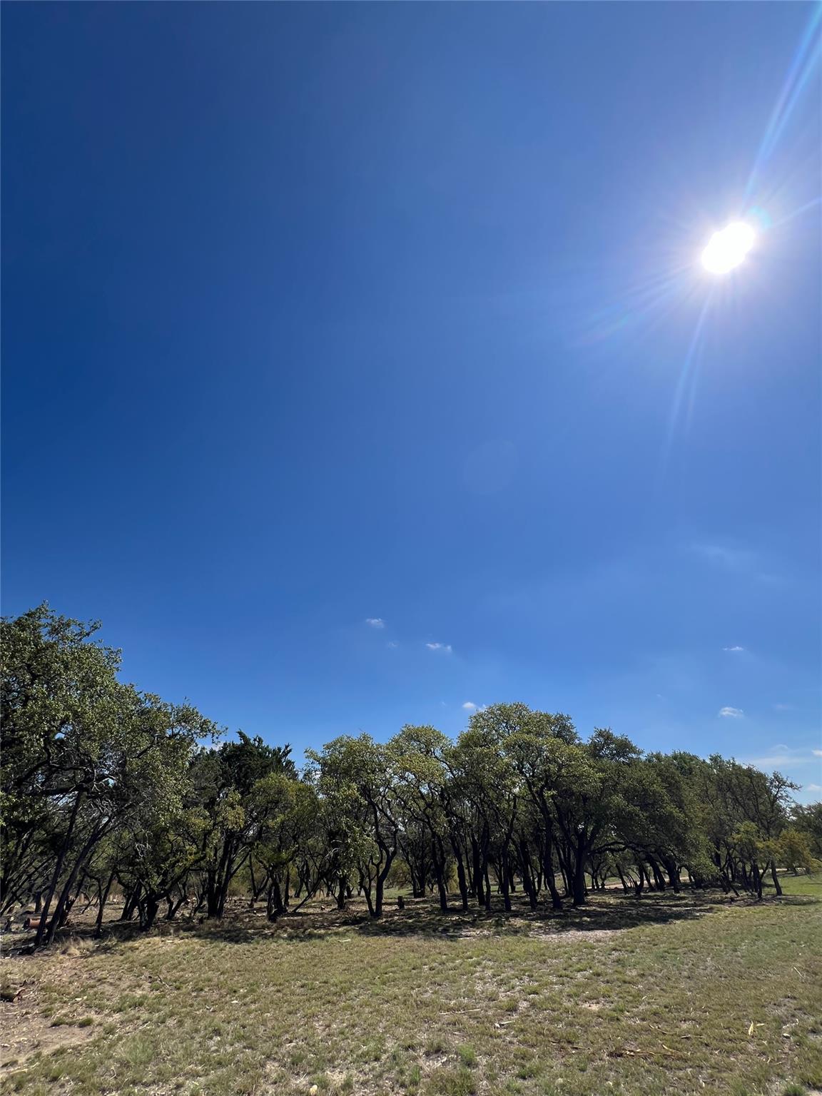 1 Barlow Drive Briggs TX 78608