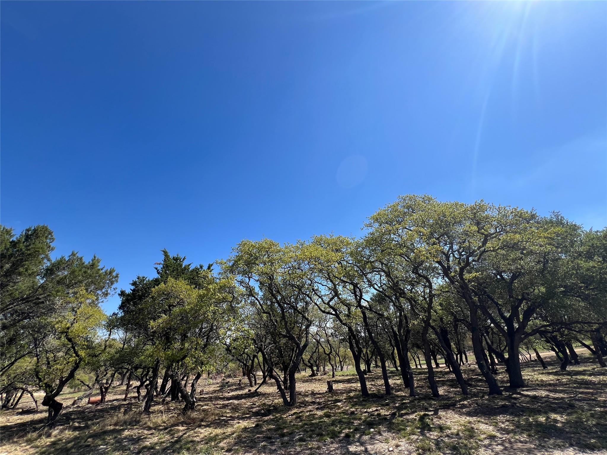 1 Barlow Drive Briggs TX 78608