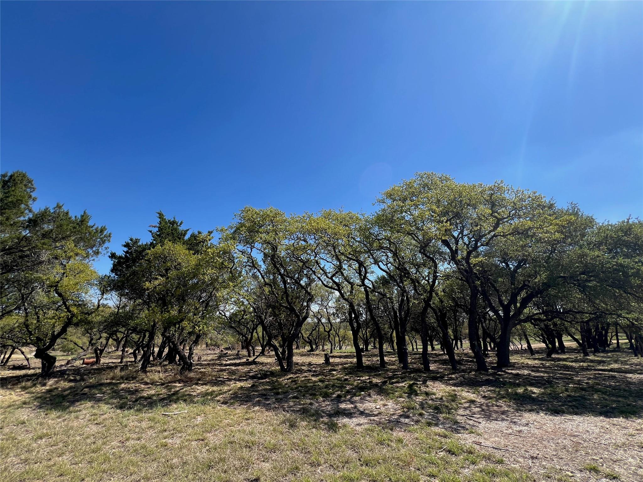 1 Barlow Drive Briggs TX 78608