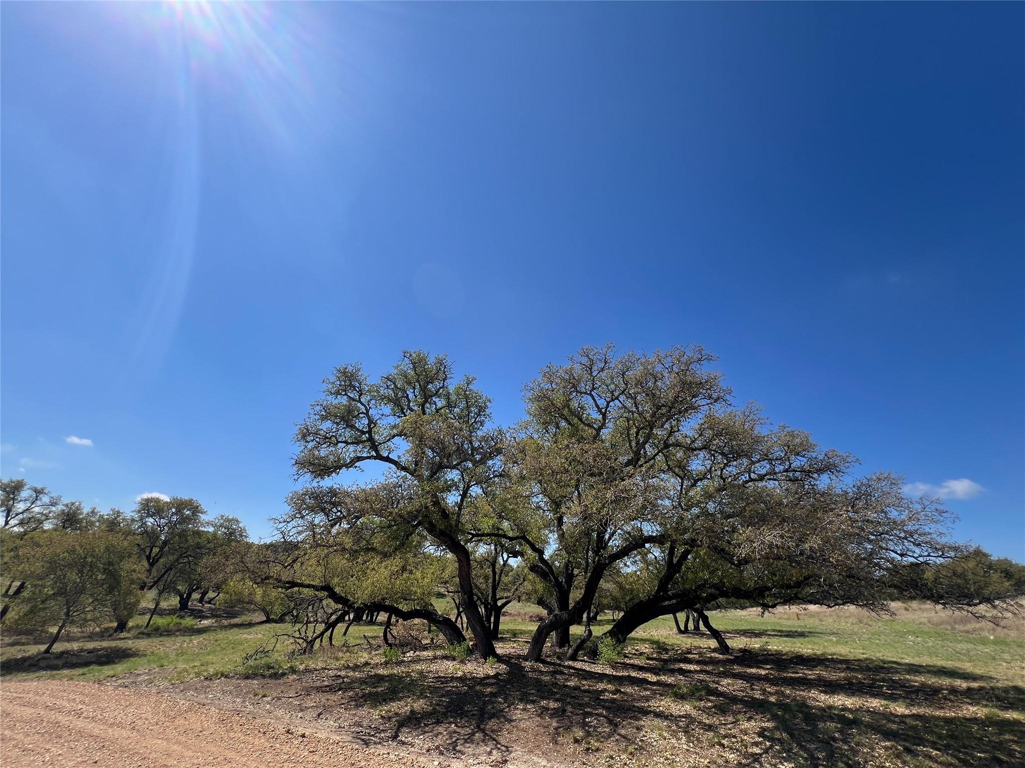 1 Barlow Drive Briggs TX 78608