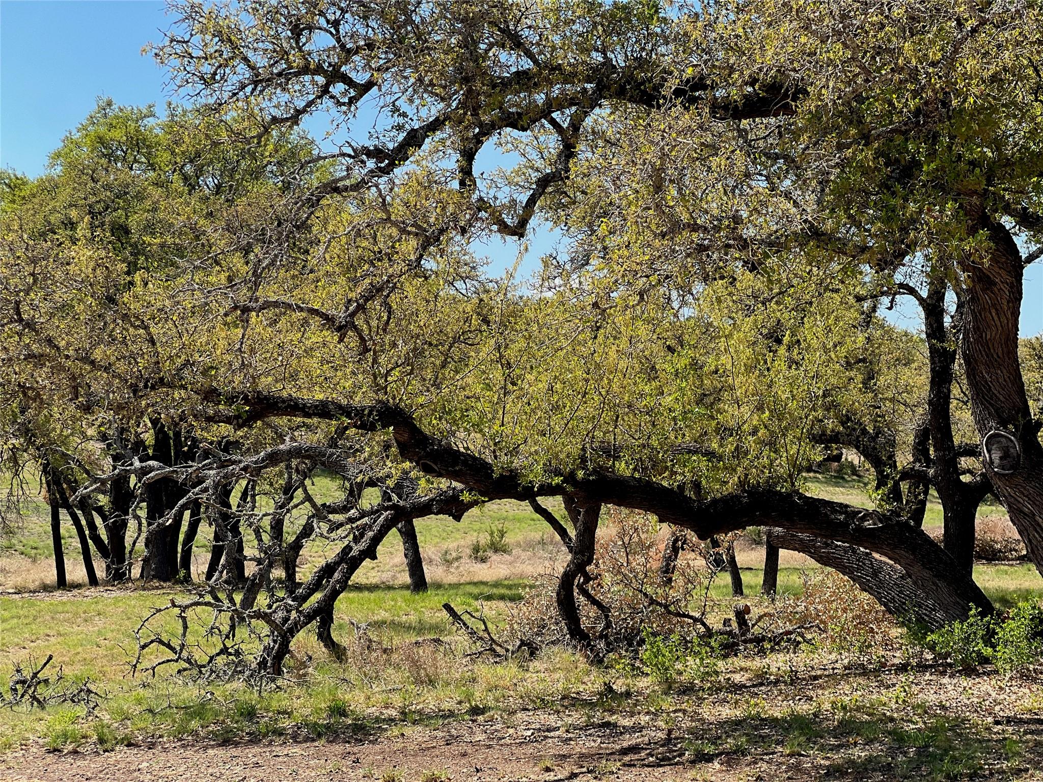 1 Barlow Drive Briggs TX 78608