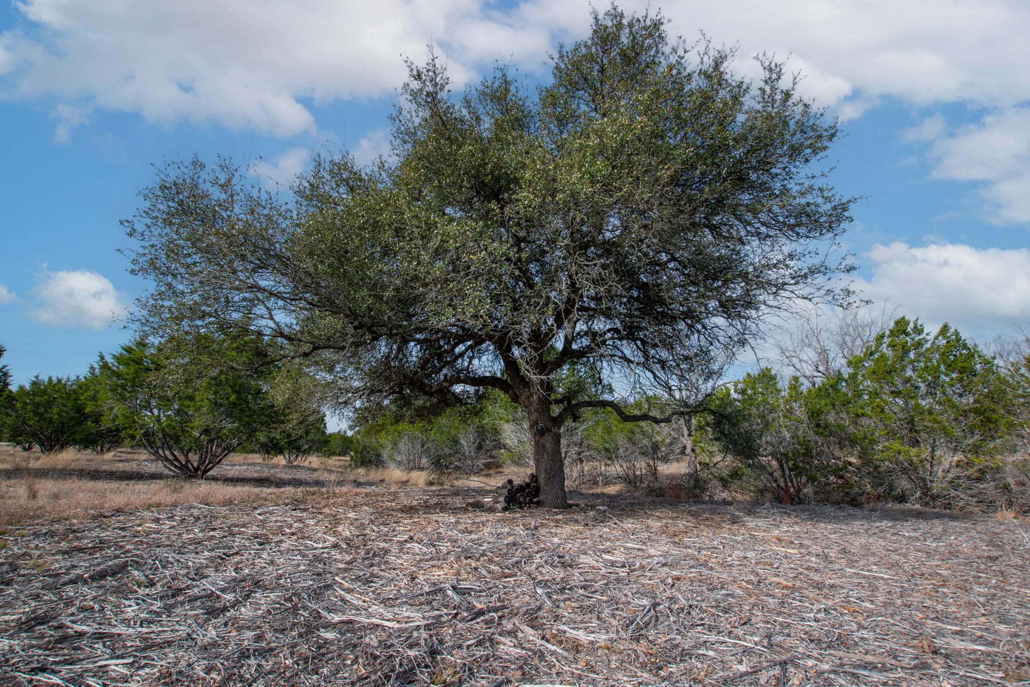 Tbd Burnet Oaks Lot 20 Drive Burnet TX 78611