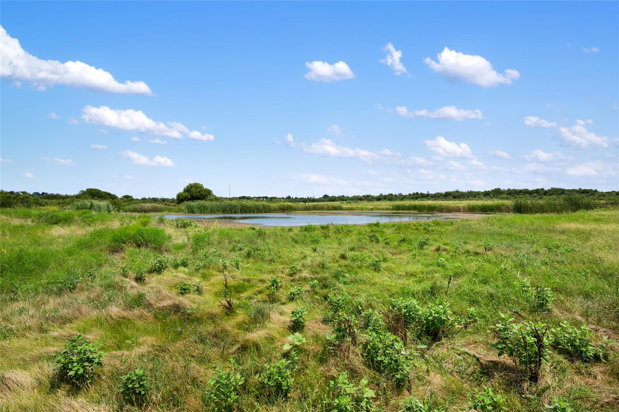 1775 County Road 305 Road Jarrell TX 76537