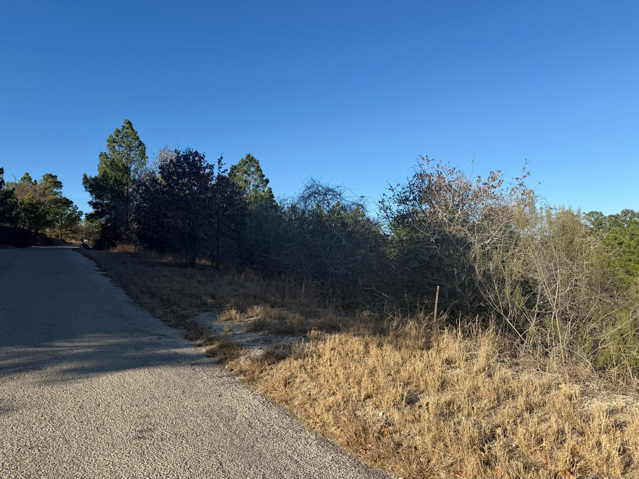 Lot 858 Mamalu Drive Bastrop TX 78602