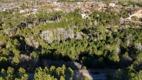 Lot 858 Mamalu Drive Bastrop TX 78602