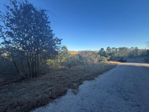 Lot 858 Mamalu Drive Bastrop TX 78602
