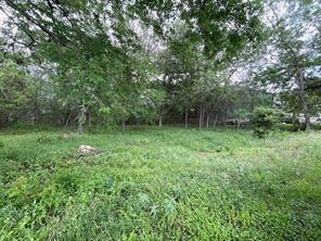 204 Crest Drive Spicewood TX 78669