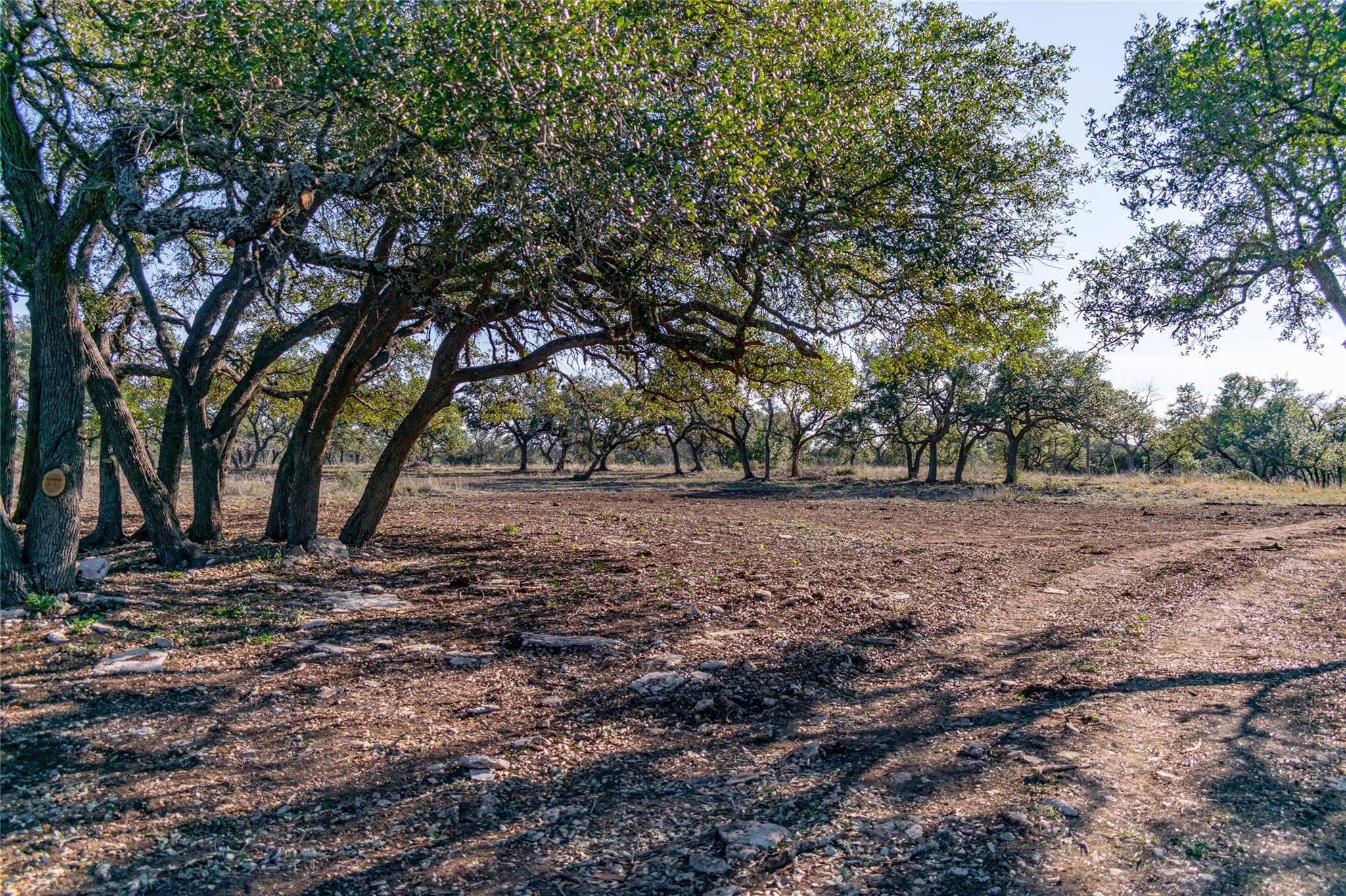 Tbd 281 Highway Blanco TX 78606