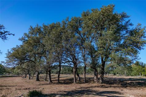 Tbd 281 Highway Blanco TX 78606
