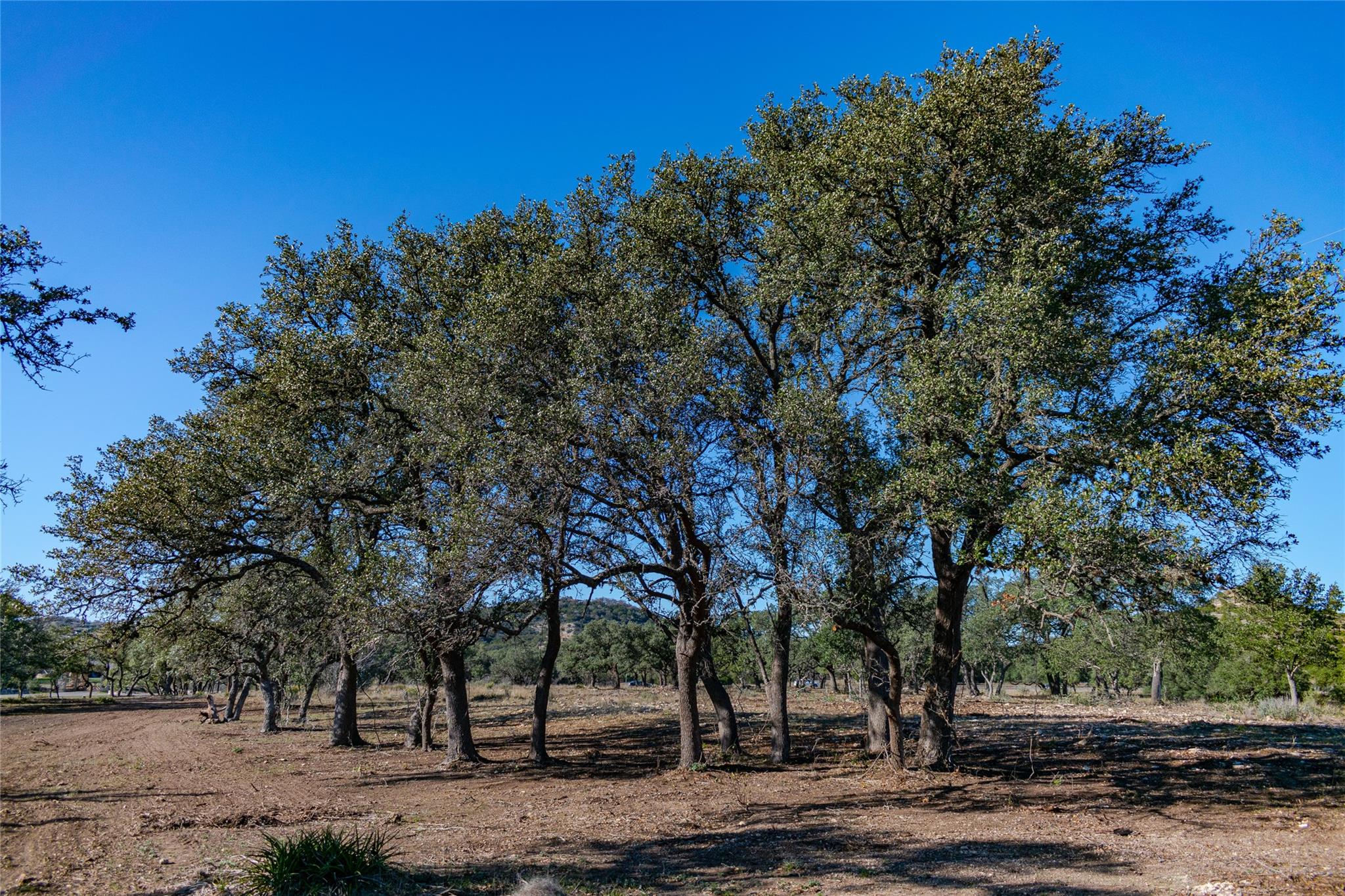 Tbd 281 Highway Blanco TX 78606