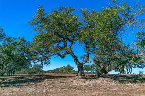 Tbd 281 Highway Blanco TX 78606