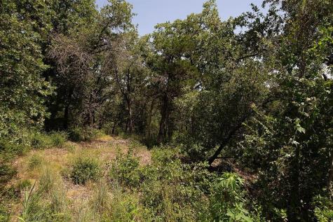 Tbd Post Oak Rim Drive Bastrop TX 78602
