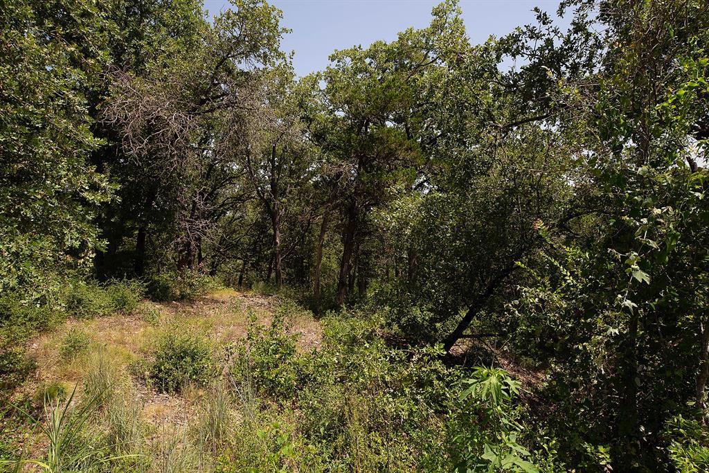 Tbd Post Oak Rim Drive Bastrop TX 78602