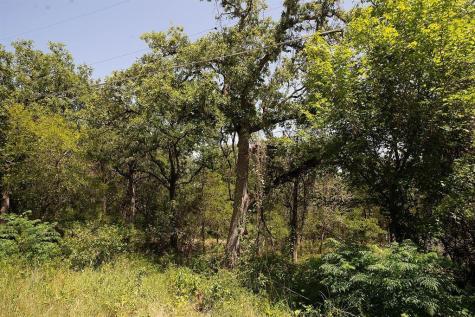 Tbd Post Oak Rim Drive Bastrop TX 78602