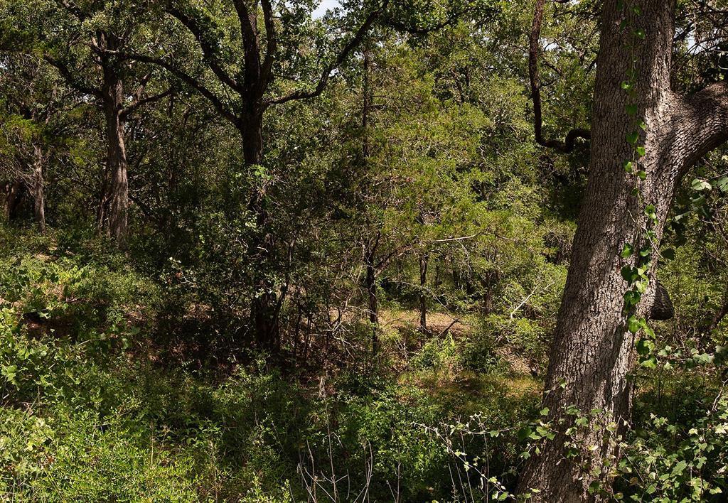 Tbd Post Oak Rim Drive Bastrop TX 78602