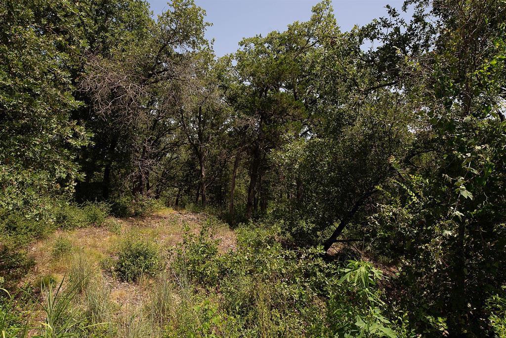 Tbd Post Oak Rim Drive Bastrop TX 78602