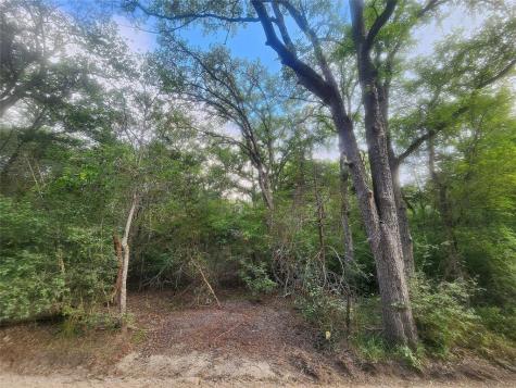 Tbd Post Oak Rim Drive Bastrop TX 78602