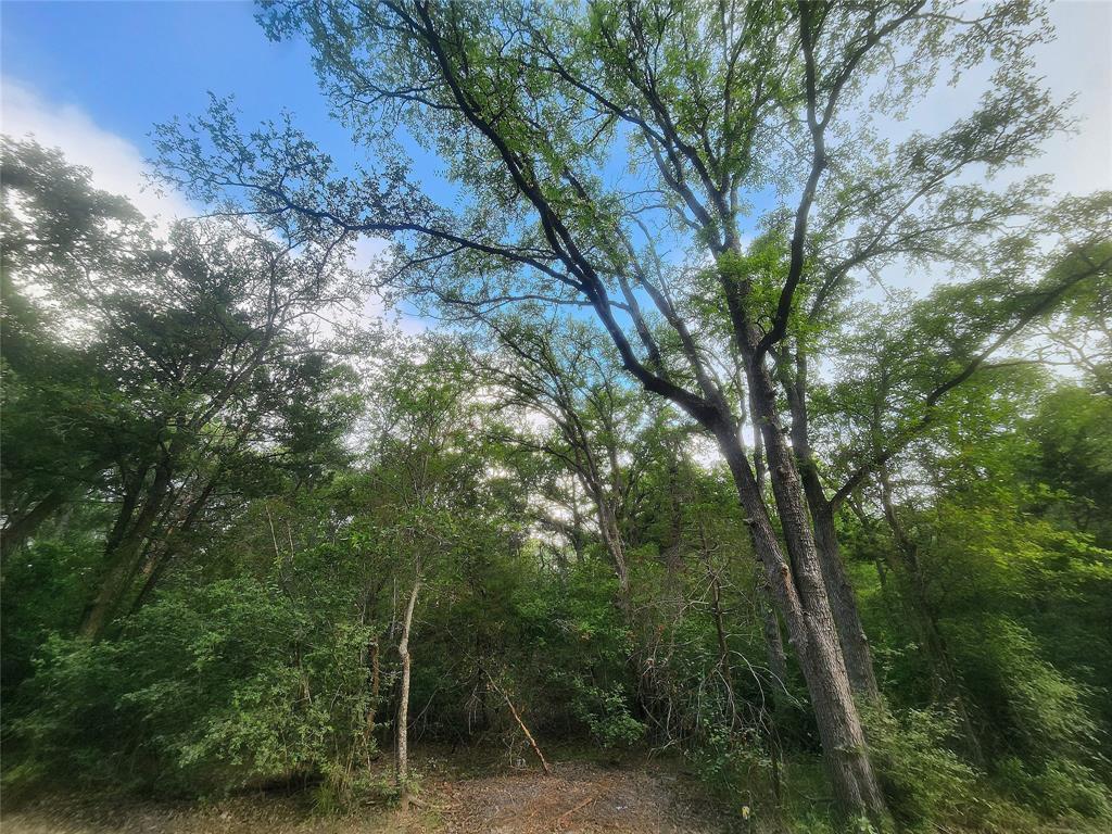 Tbd Post Oak Rim Drive Bastrop TX 78602