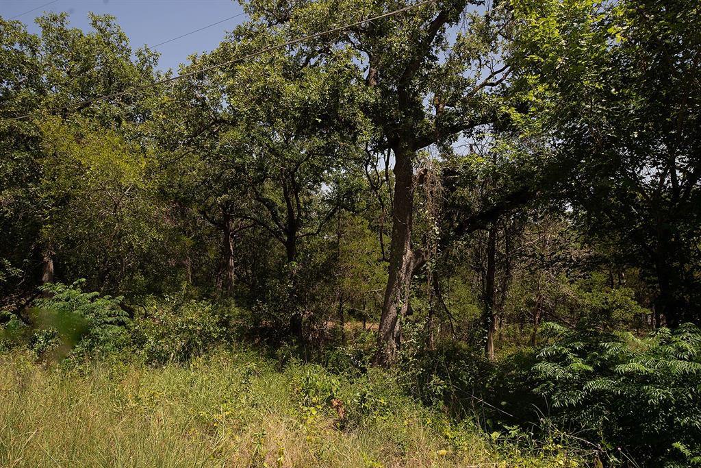 Tbd Post Oak Rim Drive Bastrop TX 78602