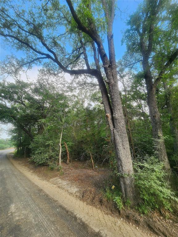 Tbd Post Oak Rim Drive Bastrop TX 78602