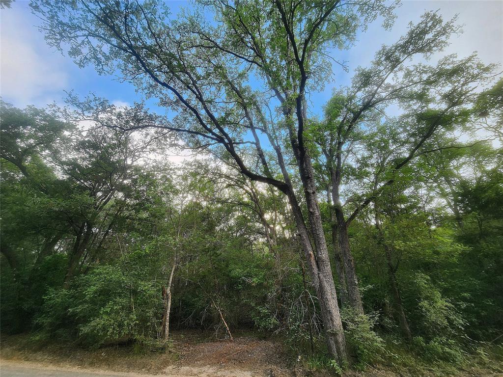 Tbd Post Oak Rim Drive Bastrop TX 78602