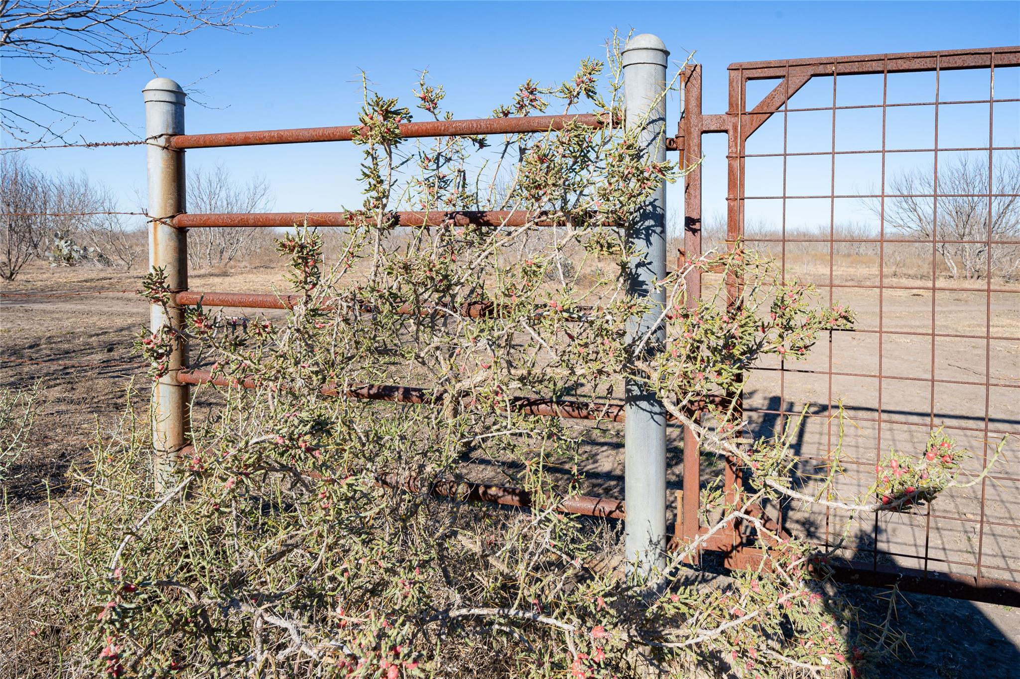 Tbd Richards Drive Del Valle TX 78617