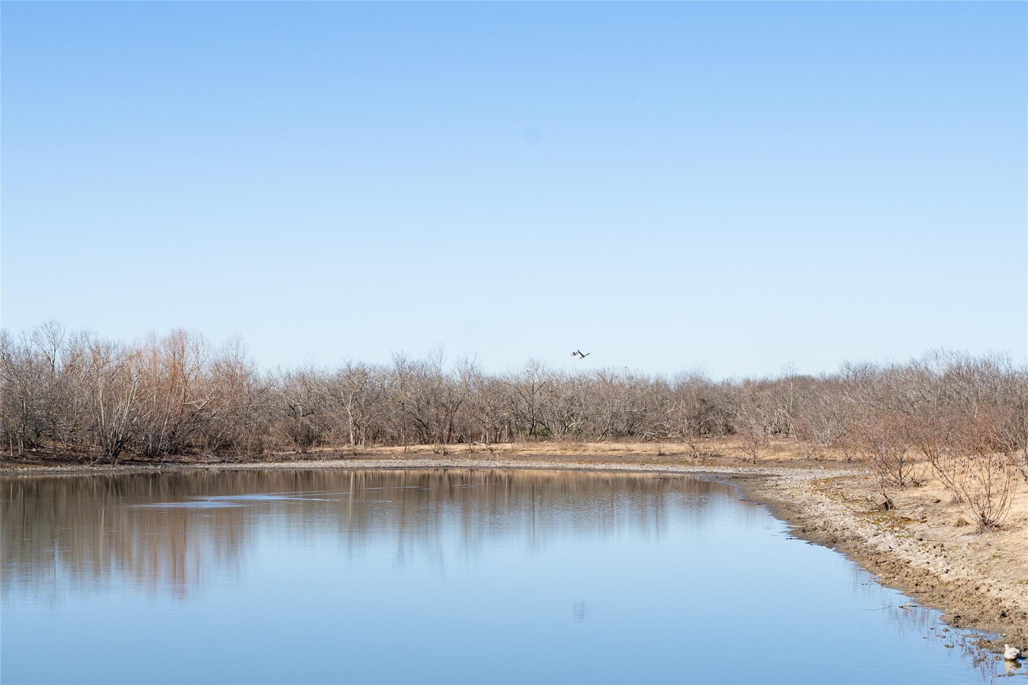 Tbd Richards Drive Del Valle TX 78617