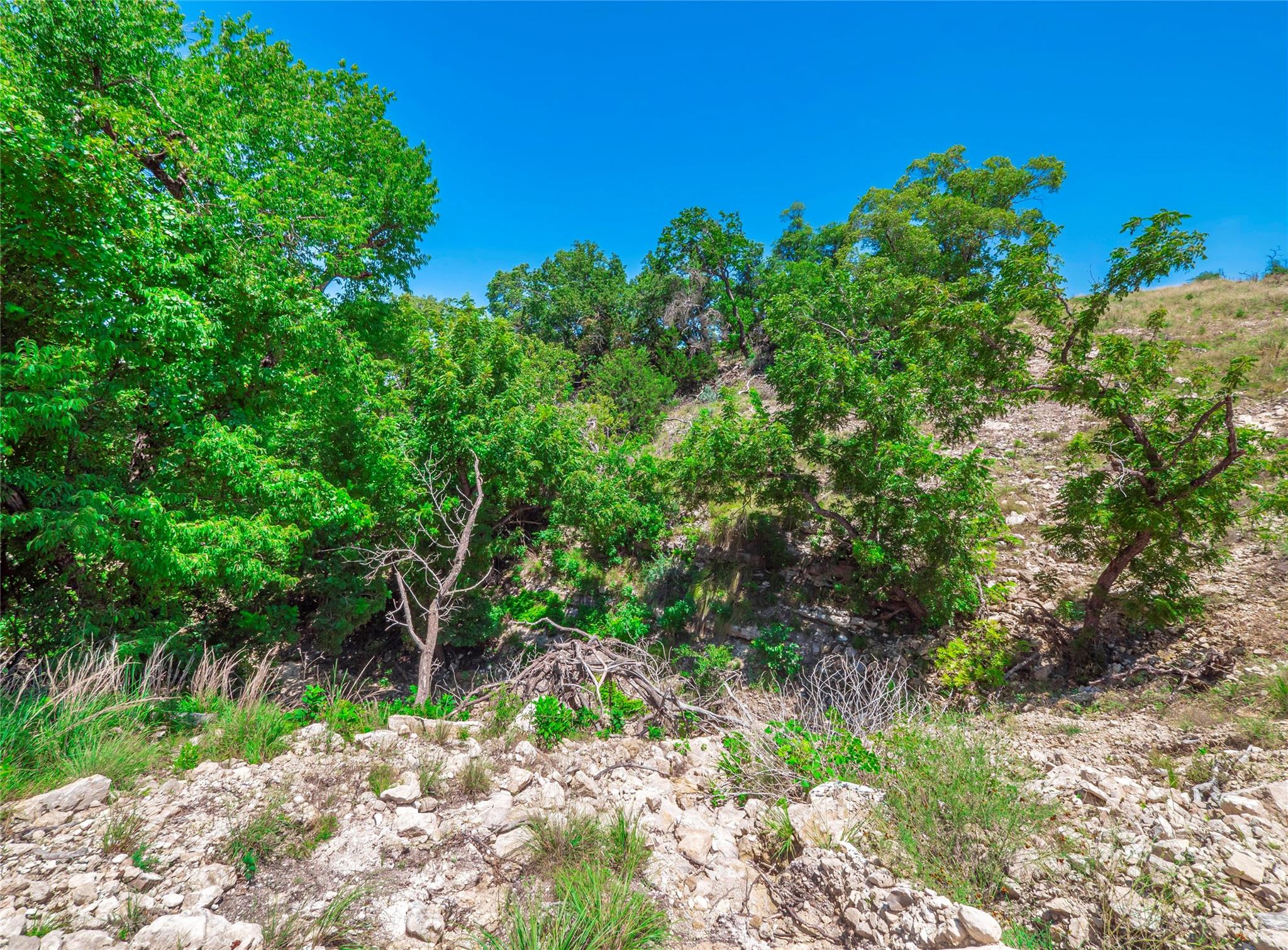 Lot 62 Canyons Drive Fredericksburg TX 78624