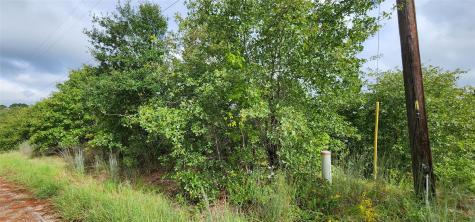 Tbd Homonu (Lot 105) Court Bastrop TX 78602