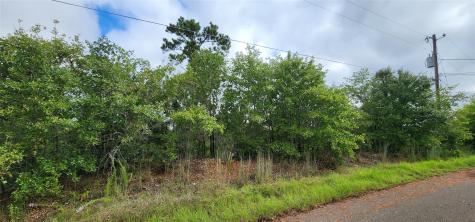 Tbd Homonu (Lot 105) Court Bastrop TX 78602