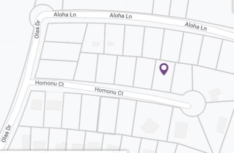 Tbd Homonu (Lot 105) Court Bastrop TX 78602