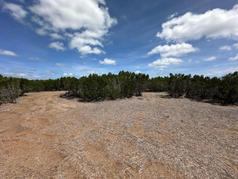251 Stargazer Drive Lampasas TX 76550