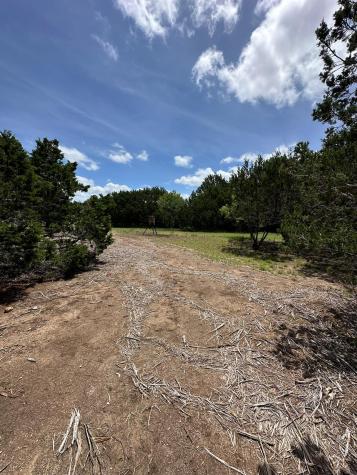 251 Stargazer Drive Lampasas TX 76550