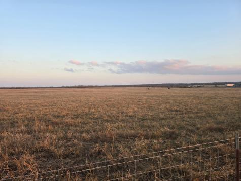 Tbd County Road 116 Rogers TX 76569