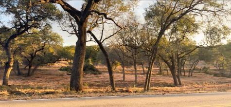 19732 Thurman Bend Road Spicewood TX 78669
