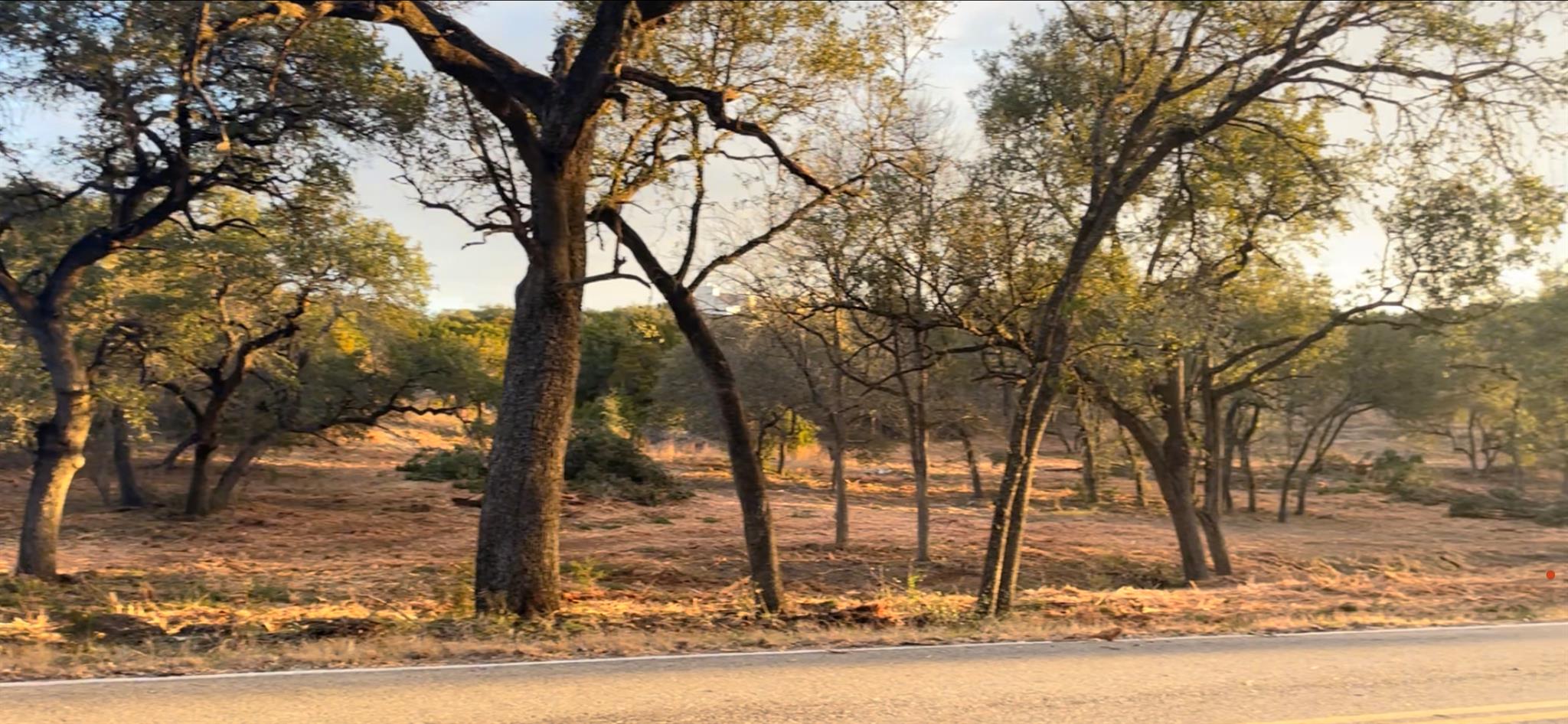 19732 Thurman Bend Road Spicewood TX 78669