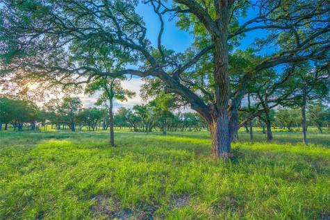 000 Twisted Vine Ranch Johnson City TX 78636